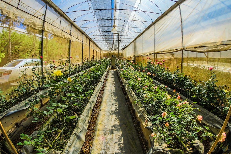 Herbicydy: Twoje niezawodne wsparcie w uprawie roślin