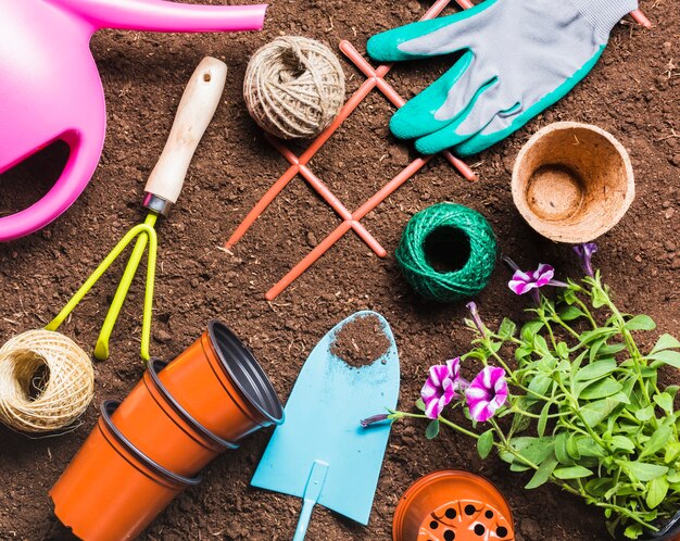 Jak wybrać odpowiednie narzędzia do pielęgnacji ogrodu?